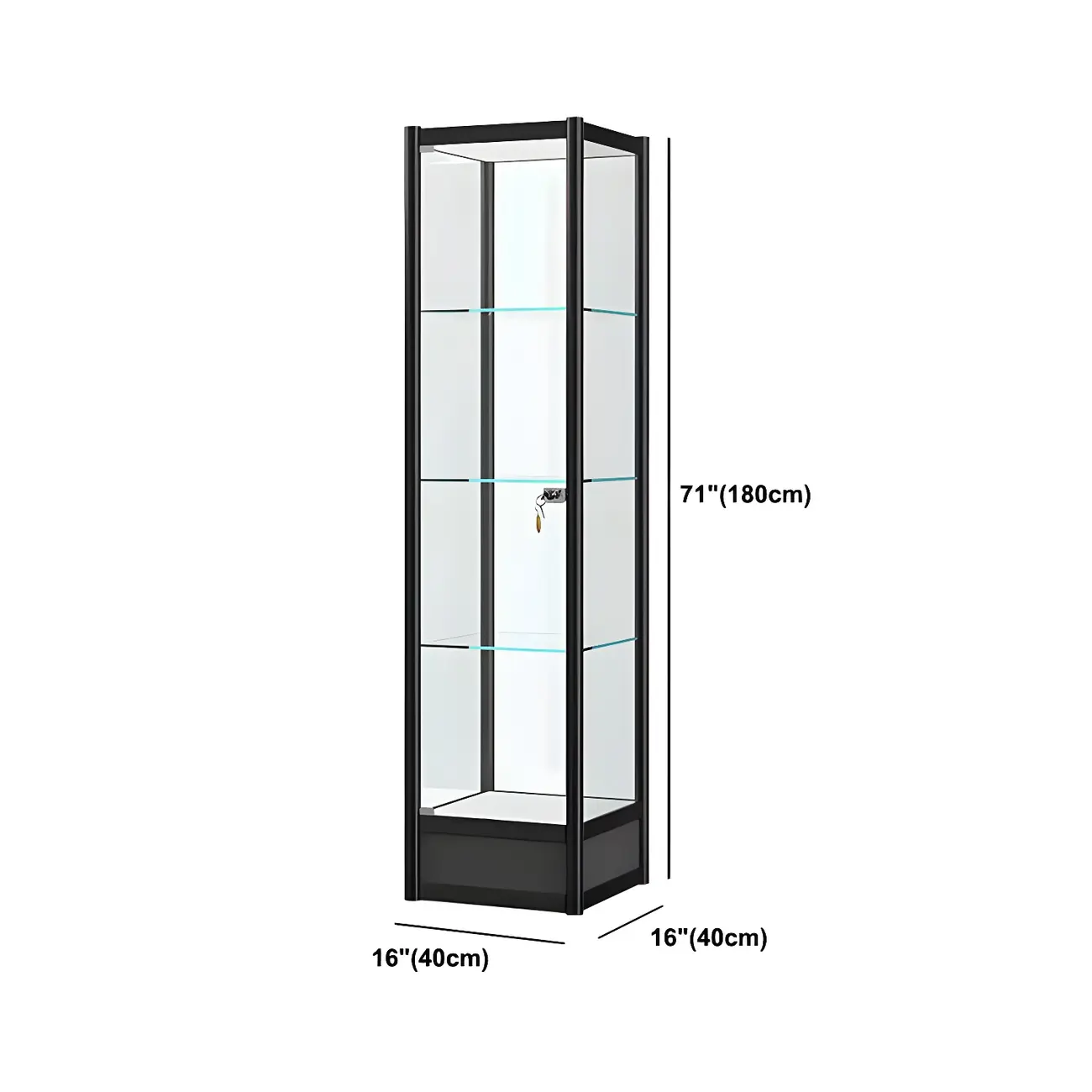 Rectangular Black Clear Glass Metal Frame Curio Cabinet