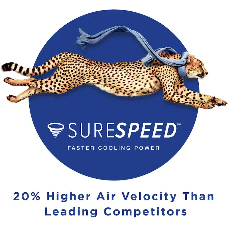 Hunter 60  Overton Damp Rated Ceiling Fan with LED Light Kit and Wall Control - Windmill, Transitional, Modern - ENERGY STAR