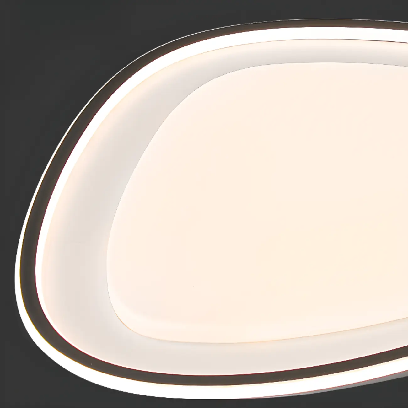 Modern Black-White Flush Ceiling Light with 3 Gear Dimming