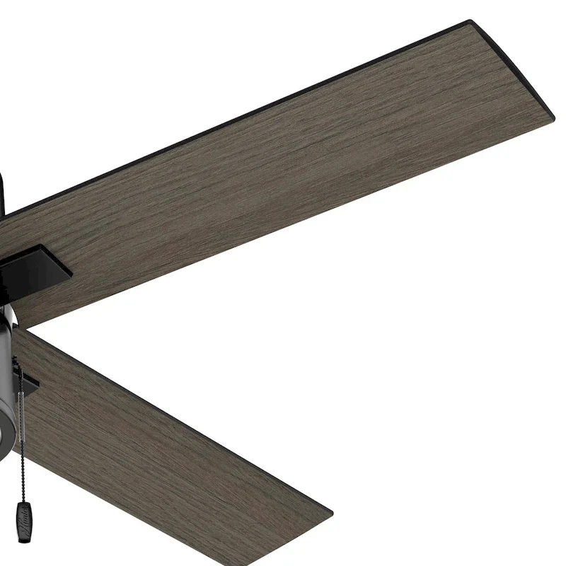 Hunter 52  Beck Ceiling Fan with LED Light Kit and Pull Chain - Transitional, Modern, Industrial, Farmhouse