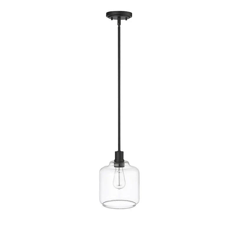Millennium Lighting Asheville 1 Light Mini-Pendant Fixture with Clear Glass Shades