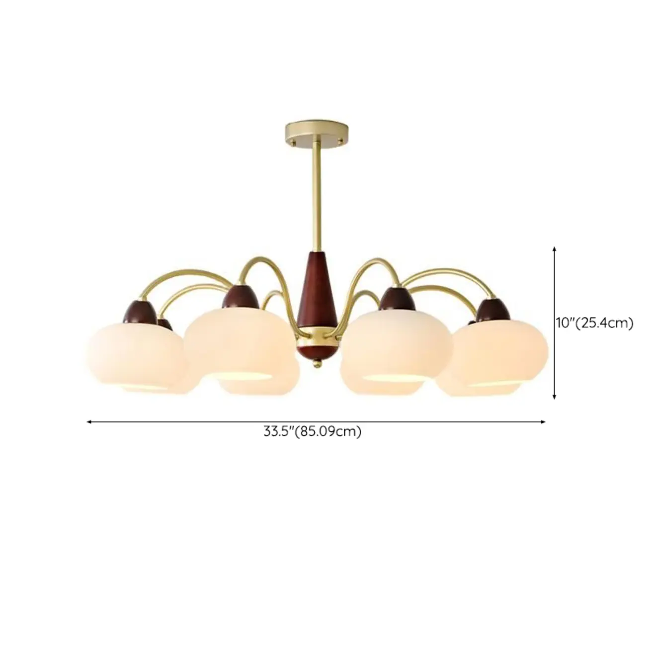 Classic Gold Glass Drum Shade Elegant Chandelier