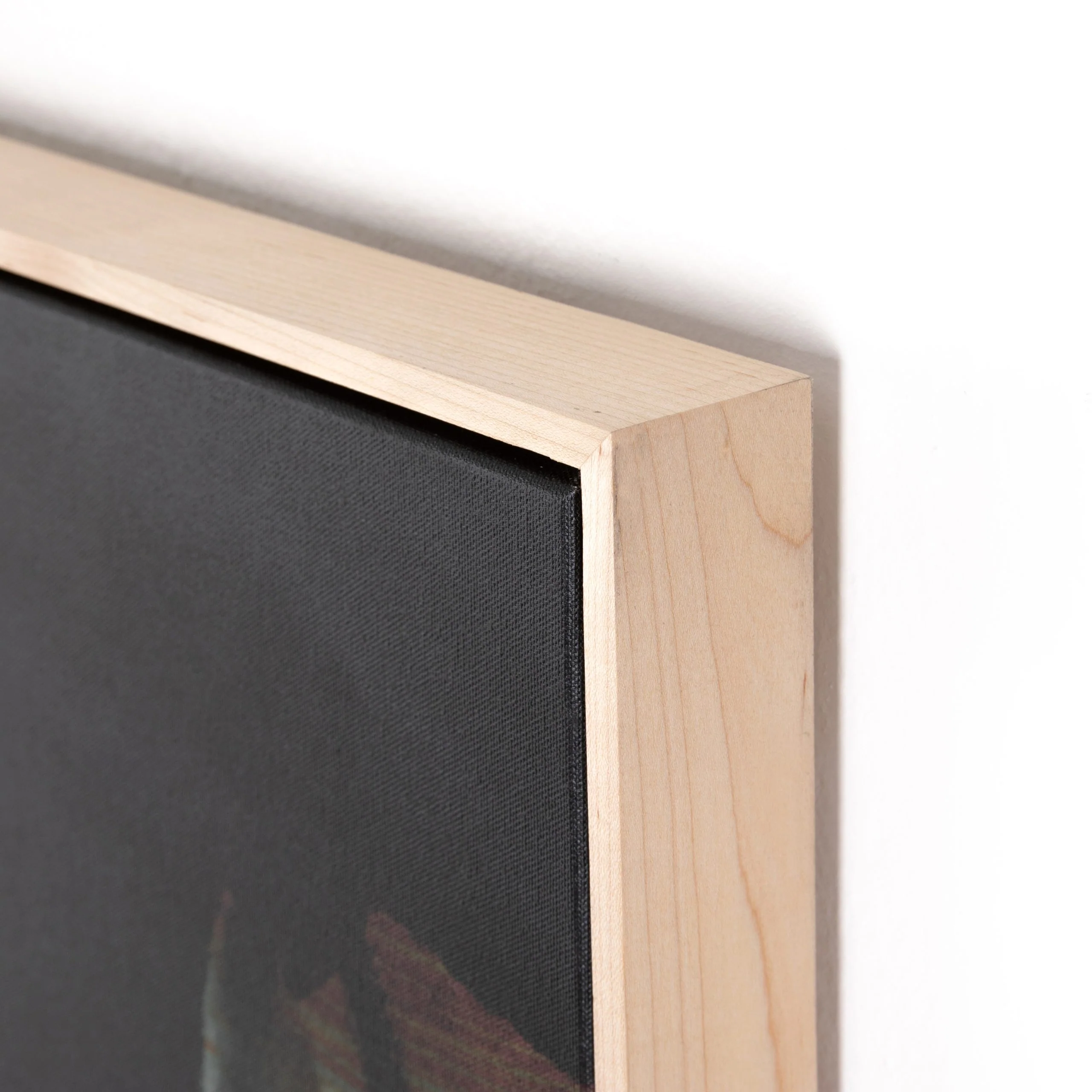 SHADOW BY DAN HOBDAY