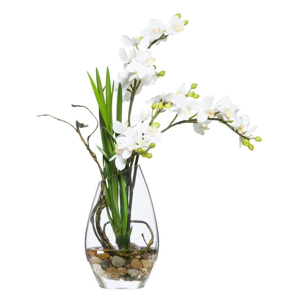 WHITE MINI PHAL WATER LIKE