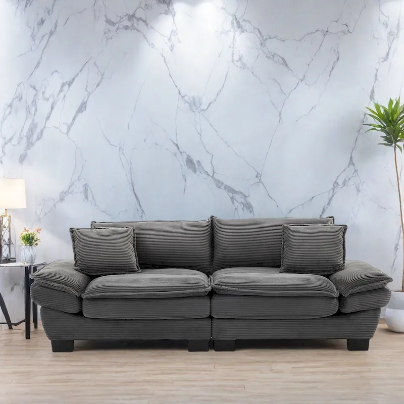 65.5 Upholstered 3-Seater Sofa Couch with Two Pillows and Sturdy Construction