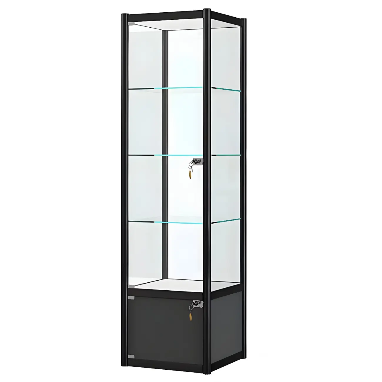 Rectangular Black Clear Glass Metal Frame Curio Cabinet