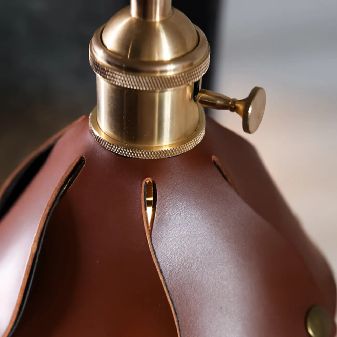 Modern Geometric Leather Gold Metal Pendant Light