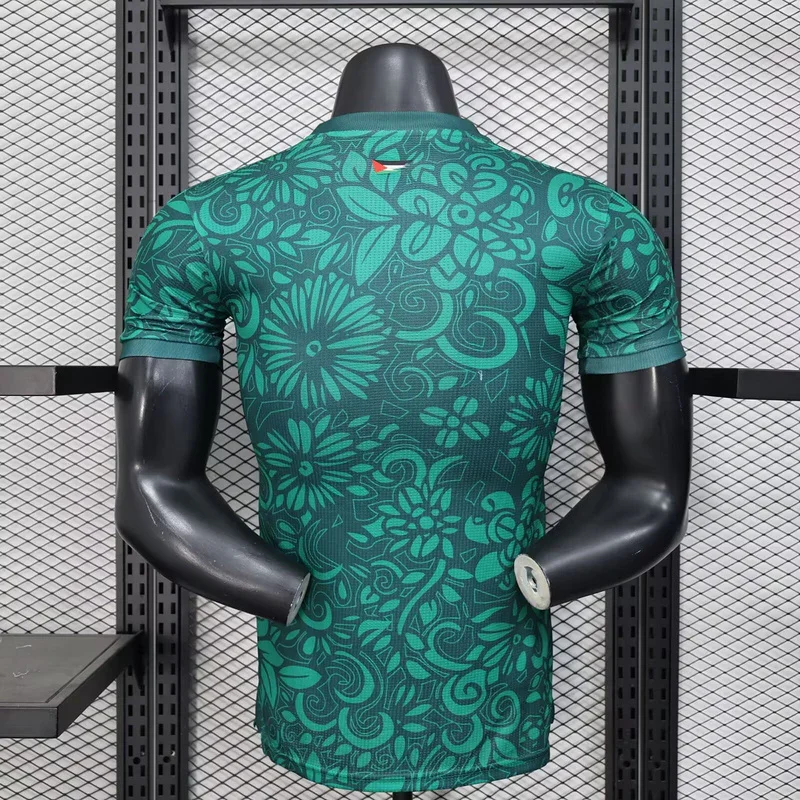Maillot Palestine concept 2025-26