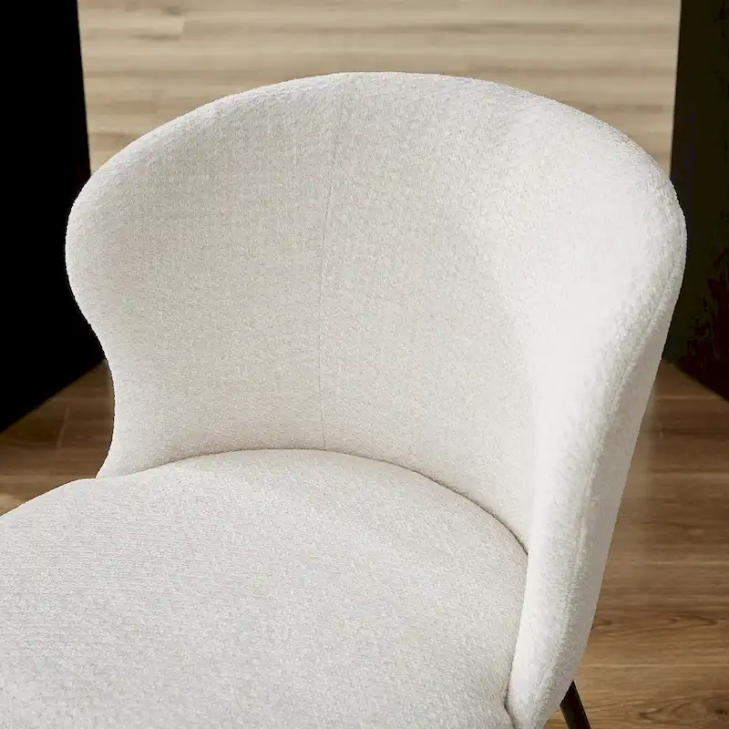 Modern Dining Chairs, Set of 2