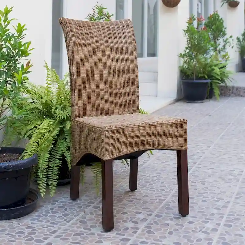 Campbell Woven Rattan/Mahogany Dining Chair (Set of 2)