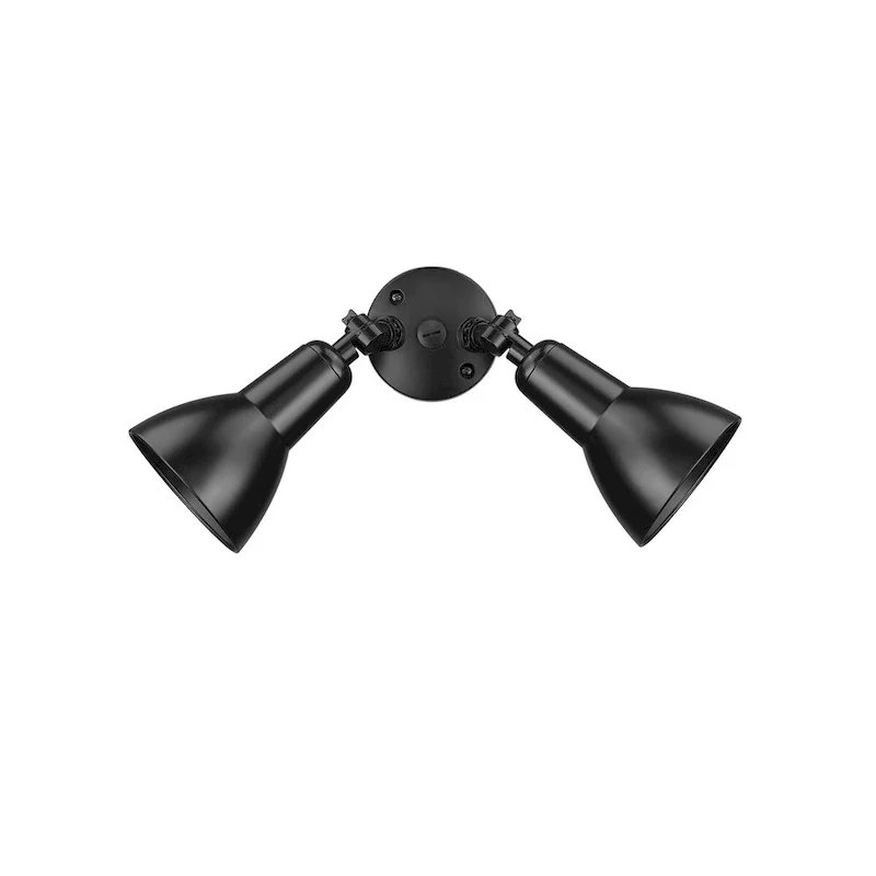 Millennium Lighting 2 Light LED Flood Light Fixture