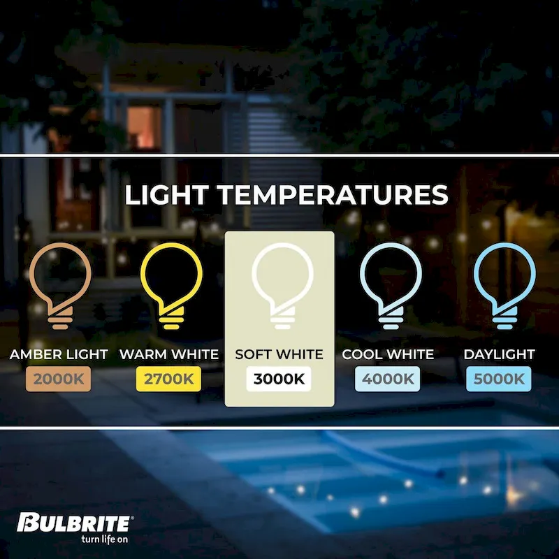 Bulbrite Pack of (8) 7 Watt Dimmable Clear Filament ST18 Medium (E26) LED Bulb