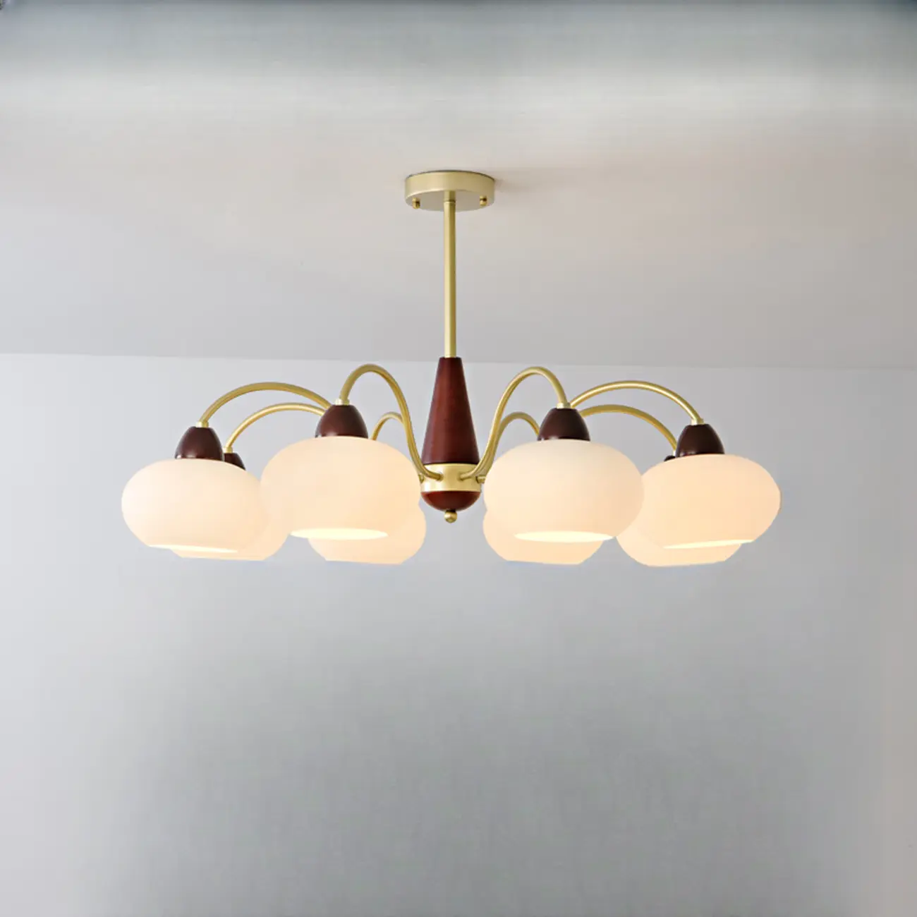 Classic Gold Glass Drum Shade Elegant Chandelier