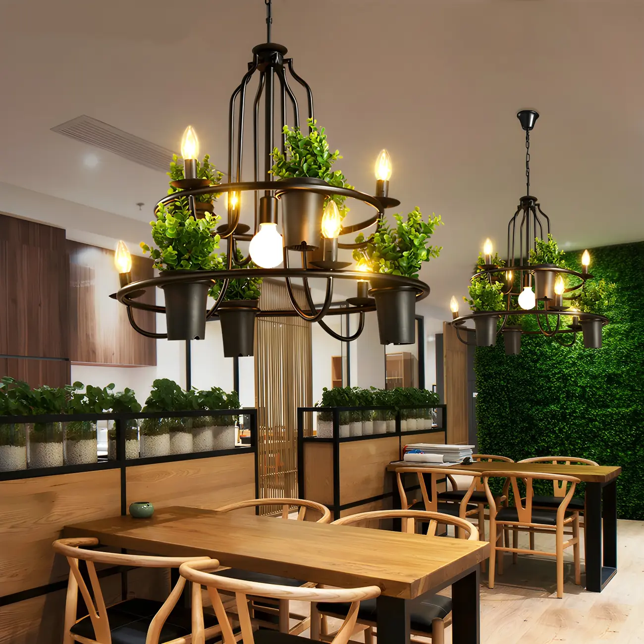 Black Metal Circular Modern Plant Chandelier