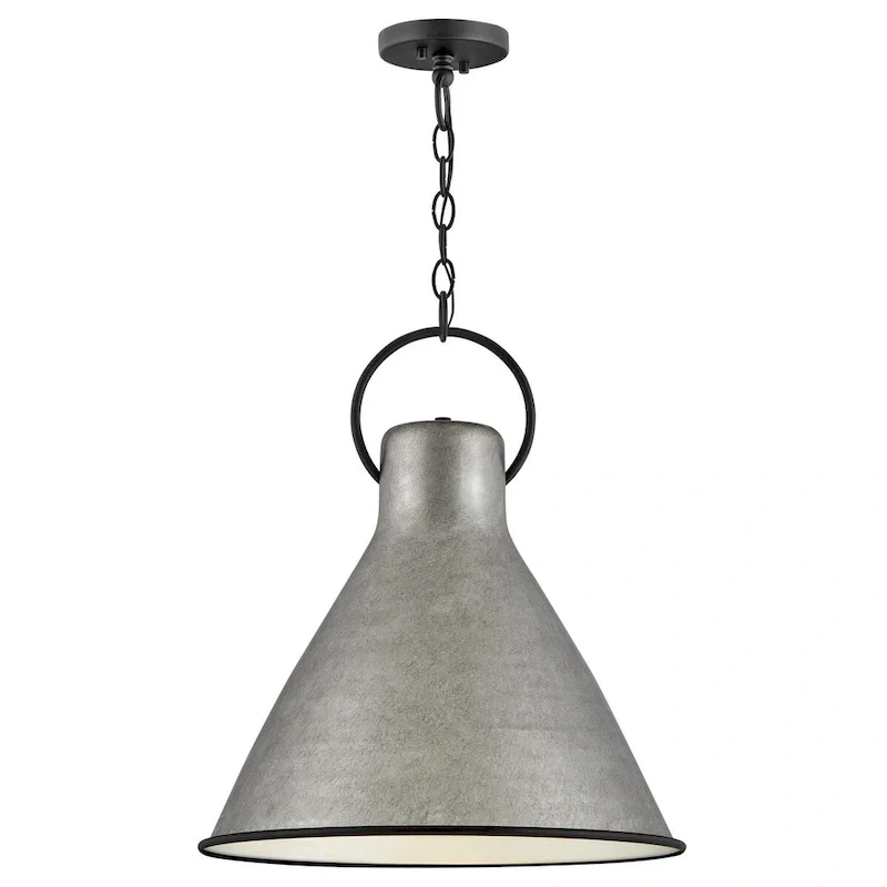 Hinkley Lighting Winnie Single Light 18  Wide Pendant