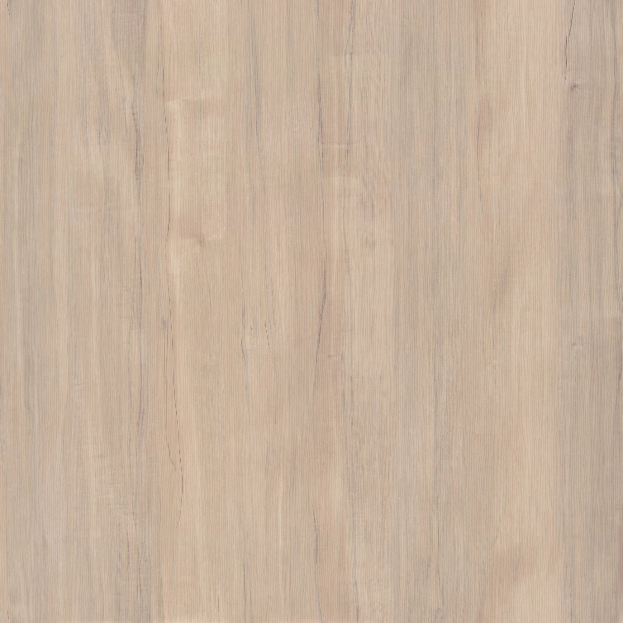 Woodland 40W Wall Mounted Coat Rack with Shelf by Bush Furniture