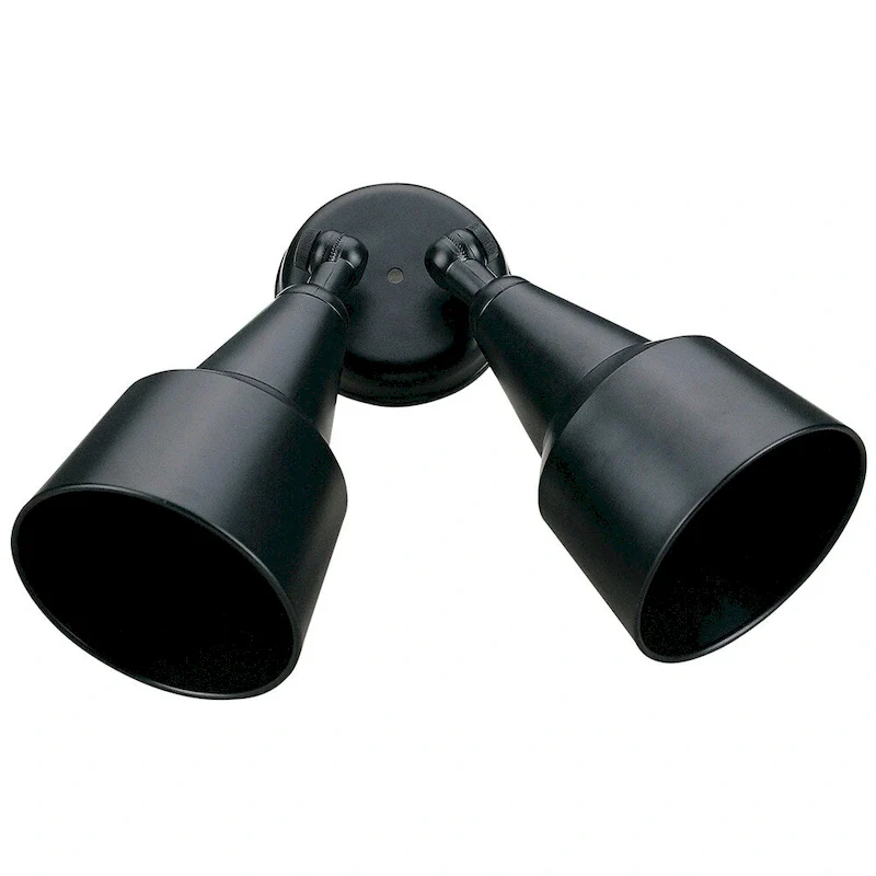 Brando 2 Light Flood Light in Black