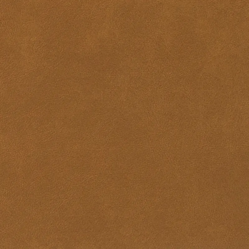 Pascual Comfy Living Room Armchair Set Of 2 with Solid Wood Legs