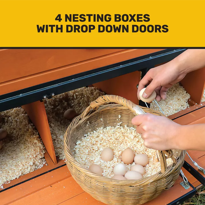 Pasted Image
